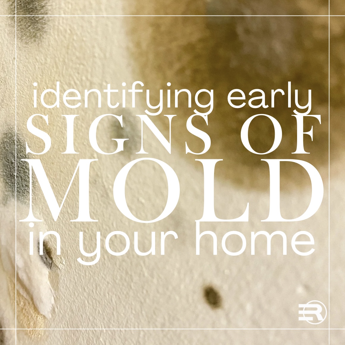 Identifying early signs of Mold in your home