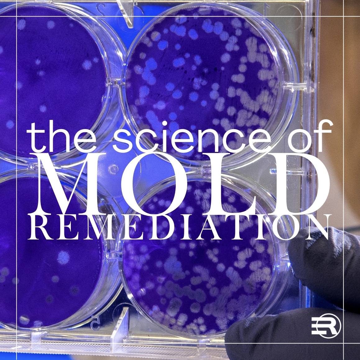 The science behind mold remediation