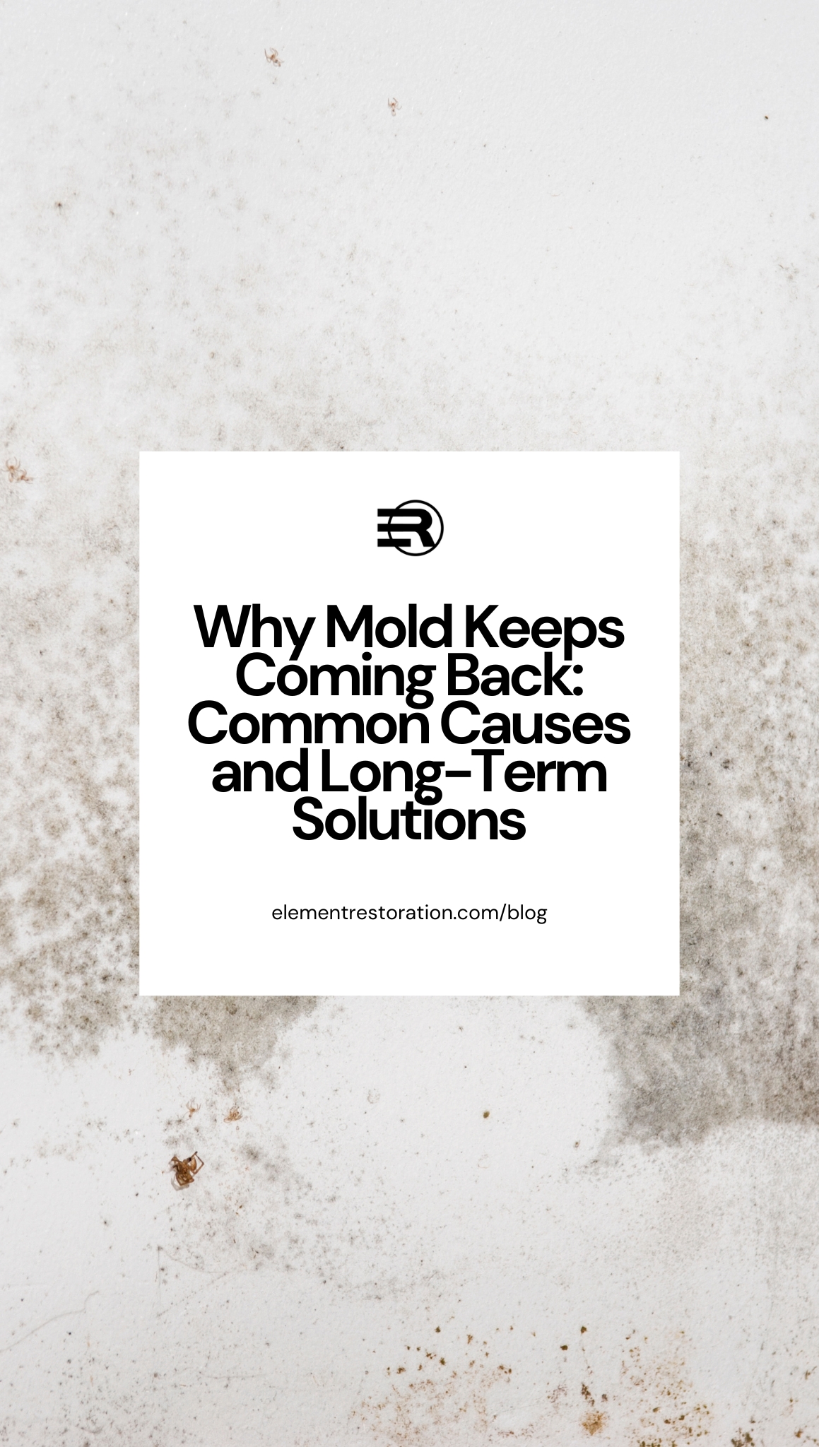 How to Keep Mold from Coming Back